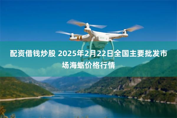 配资借钱炒股 2025年2月22日全国主要批发市场海蛎价格行情