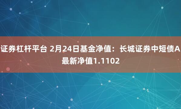 证券杠杆平台 2月24日基金净值：长城证券中短债A最新净值1.1102