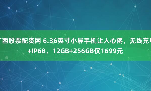 广西股票配资网 6.36英寸小屏手机让人心疼，无线充电+IP68，12GB+256GB仅1699元