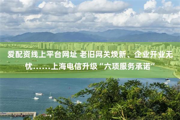 爱配资线上平台网址 老旧网关焕新、企业开业无忧……上海电信升级“六项服务承诺”